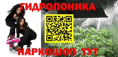 МДПВ Славгород