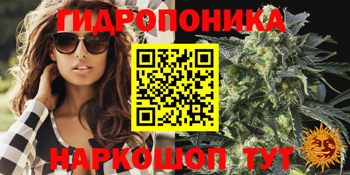 Новосибирск  Бошки марихуана SATIVA & INDICA  Каннабис гибрид  Вход с VPN  Канабис OG Kush  Канабис SATIVA & INDICA 